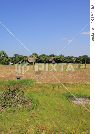 平塚川添遺跡公園（朝倉市） 43197562