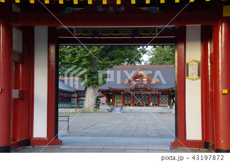 北海道護國神社 43197872