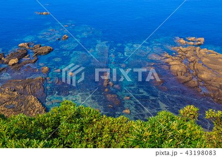 ダグリ岬　【鹿児島県志布志市】 43198083