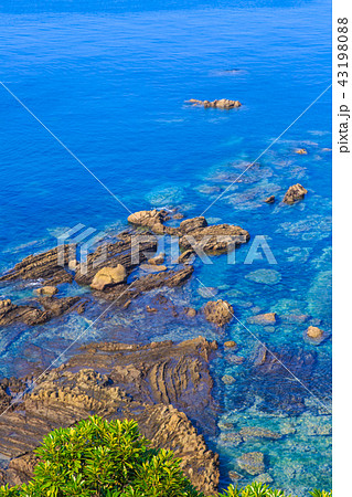 ダグリ岬　【鹿児島県志布志市】 43198088