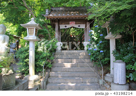 如意輪寺(かえる寺)(小郡市) 如意輪寺(かえる寺)(小郡市) 43198214
