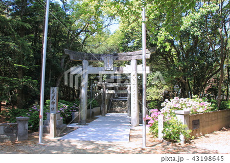 志式神社(福岡市) 志式神社(福岡市) 43198645