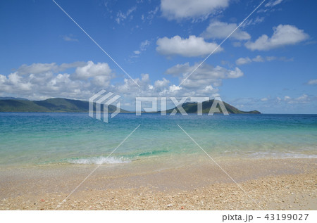フィッツロイ島 フィッツロイ島 43199027