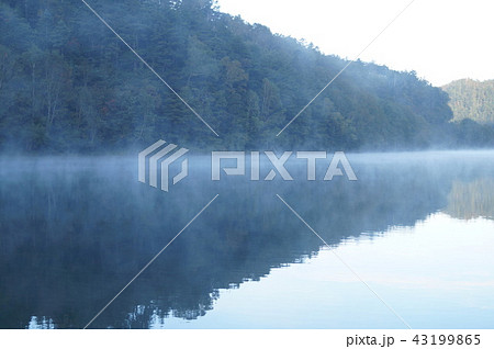神秘的な朝もや@菅沼キャンプ村(群馬県利根郡片品村)① 神秘的な朝もや@菅沼キャンプ村(群馬県利根郡片品村)① 43199865