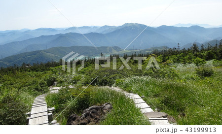 苗場山の登山道 43199913
