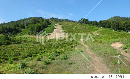 苗場山・夏のゲレンデ 43199914