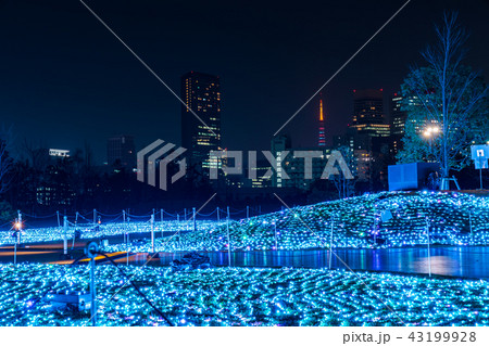 品川シーズンテラス イルミネーション2017 品川シーズンテラス イルミネーション2017 43199928