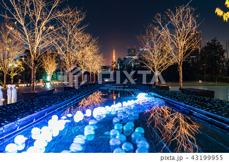 品川シーズンテラス イルミネーション2017 43199955