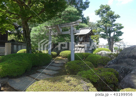 川越の白山権現 43199956