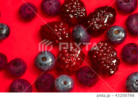 Cheesecake with wild berries Cheesecake with wild berries 43200766