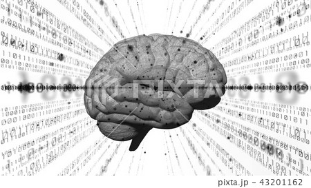AI・人工知能 AI・人工知能 43201162