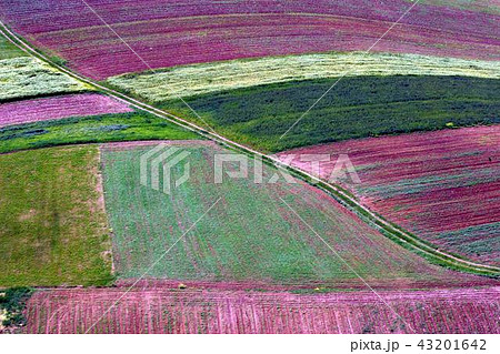 Abstract landscape, Aerial view of colorful fields Abstract landscape, Aerial view of colorful fields 43201642