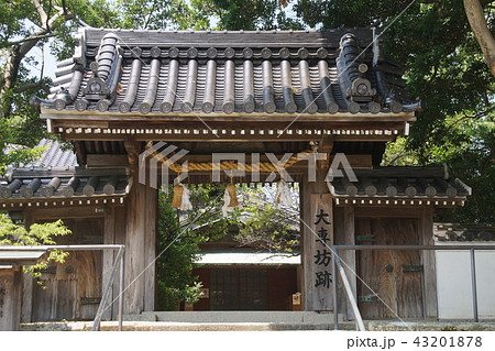 大専坊跡 大専坊跡 43201878