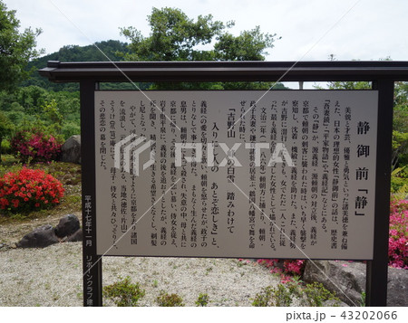 静御前「静」案内 静御前「静」案内 43202066