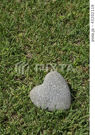 ハート形の石（ハートストーン） 43202119