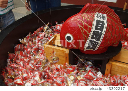 おみくじ 43202217