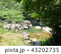 日和佐川くじら岩 43202735