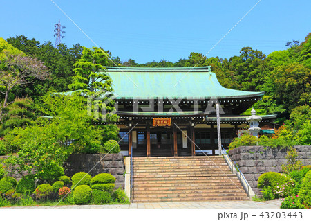 龍寶寺の本堂を眺める 43203443