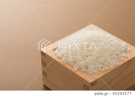 米 米 43203577