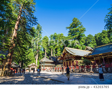 日光東照宮 境内 日光東照宮 境内 43203765