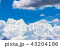 夏の青空 43204196