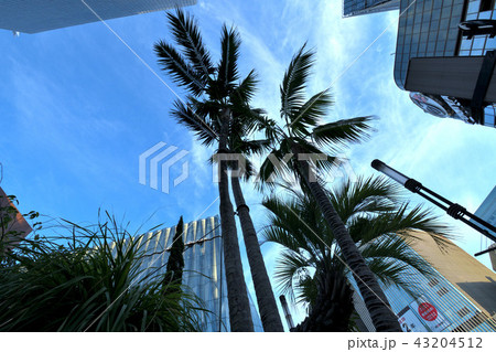 早朝の西銀座SONY PARK周辺 43204512