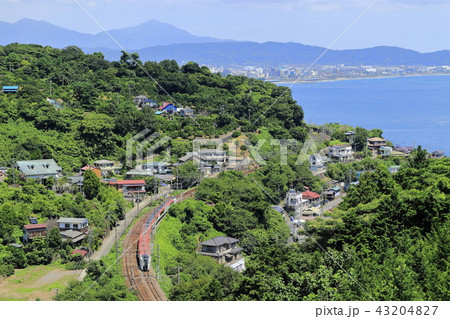 マリンエクスプレス踊り子号 43204827