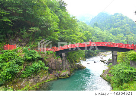 夏の日光の大谷川と神橋 43204921