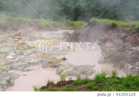 Tropical nature in a Costa Rican landscape 43205129