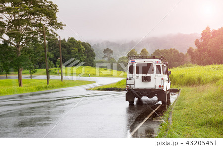 Asphalt roat in national park forest. Asphalt roat in national park forest. 43205451