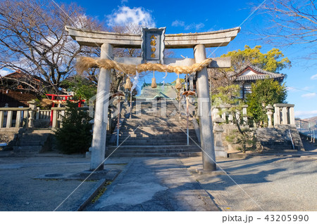 尾道 八幡神社 鳥居 43205990