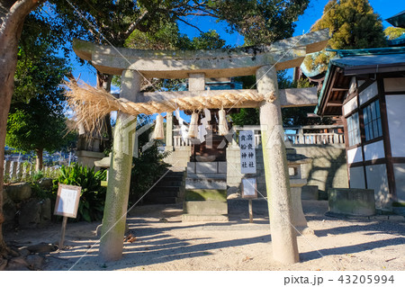 尾道 八幡神社 高良神社・貴船神社 43205994