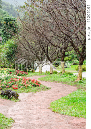 Trees in garden Trees in garden 43206192
