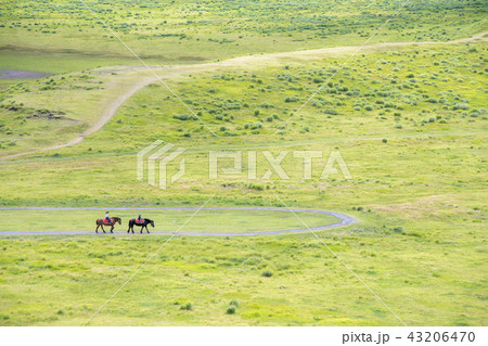 草千里ヶ浜で乗馬 草千里ヶ浜で乗馬 43206470