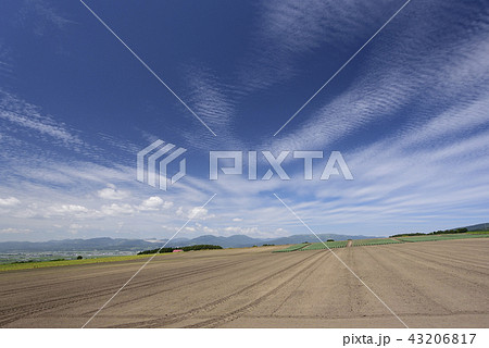 北海道函館市桔梗町の畑作地域の夏空の風景を撮影 43206817