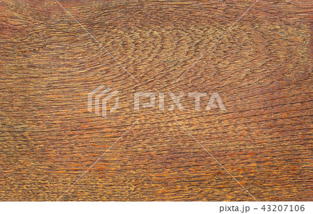 Wooden wall background, texture of bark wood Wooden wall background, texture of bark wood 43207106