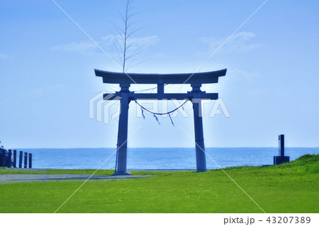 釣ヶ崎海岸広場の東浪見の鳥居 43207389
