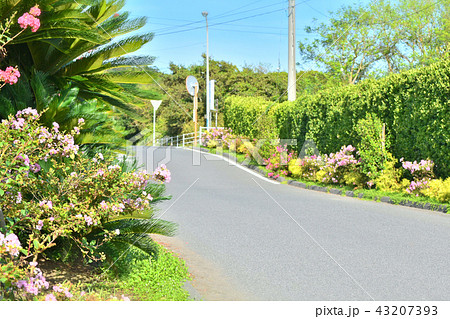 東京2020オリンピックサーフィン会場 釣ヶ崎海岸広場 東京2020オリンピックサーフィン会場 釣ヶ崎海岸広場 43207393