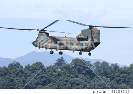 森林地帯でホバリングする災害派遣でも活躍する陸上自衛隊のCH-47Jチヌーク輸送ヘリ 森林地帯でホバリングする災害派遣でも活躍する陸上自衛隊のCH-47Jチヌーク輸送ヘリ 43207517