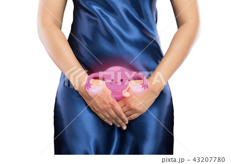 Uterus or Endometrium illustration 43207780
