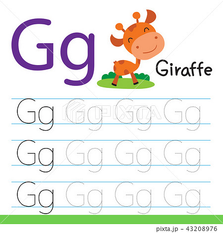 giraffe drawing line vector design 43208976