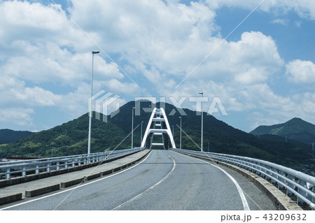 道 道 43209632