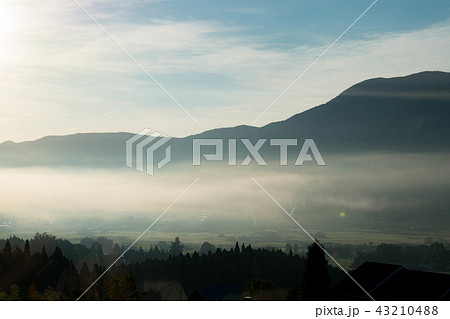 由布院の朝霧 43210488