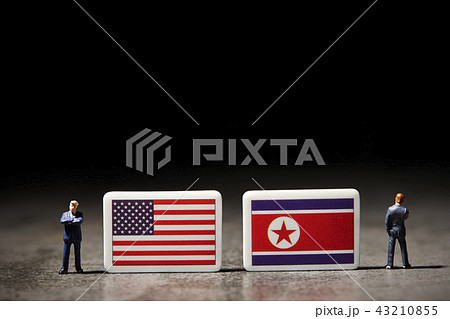 ミニチュアと国旗 43210855