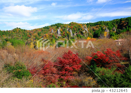 大分県　秋　裏耶馬渓 立羽田の景の紅葉 43212645