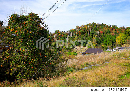 大分県　秋　裏耶馬渓 立羽田の景の紅葉 43212647