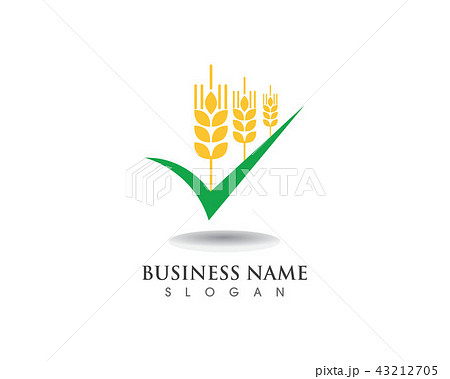 wheat Logo and symbols Template vector icon design wheat Logo and symbols Template vector icon design 43212705