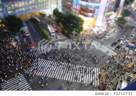 スクランブル交差点 スクランブル交差点 43212735