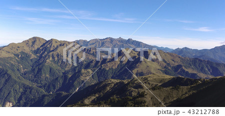 鶏冠 とさか クレスト 43212788