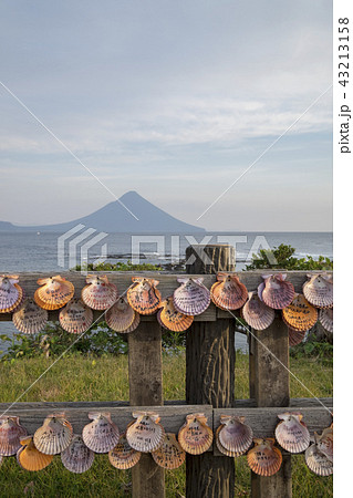 番所鼻自然公園 開聞岳 鹿児島県 43213158